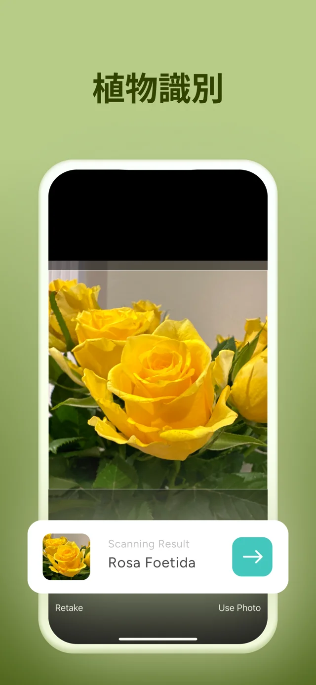 写真から識別 — FloraFlick
